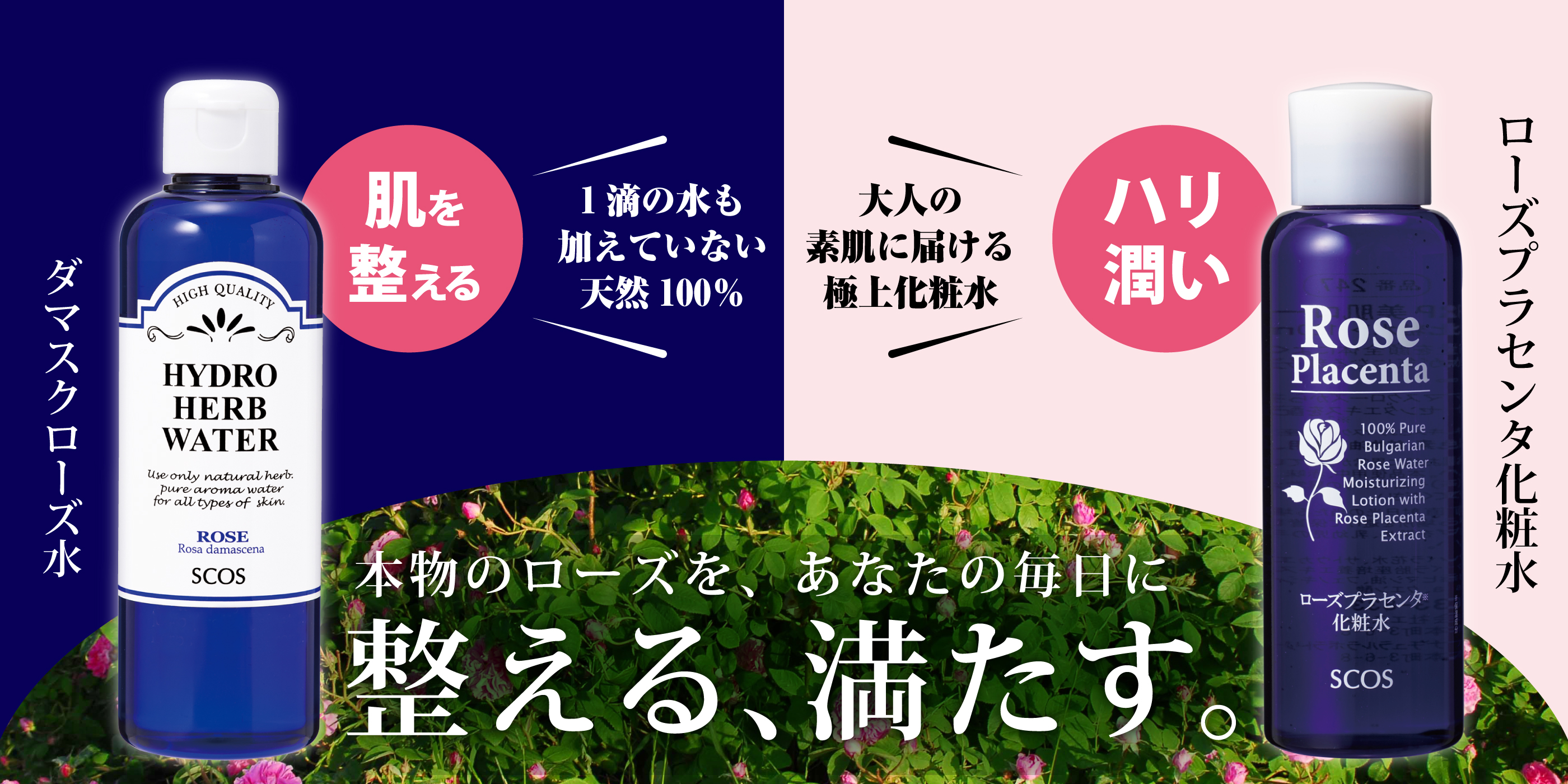 再入荷ダマスクローズ水＆ローズプラセンタ化粧水